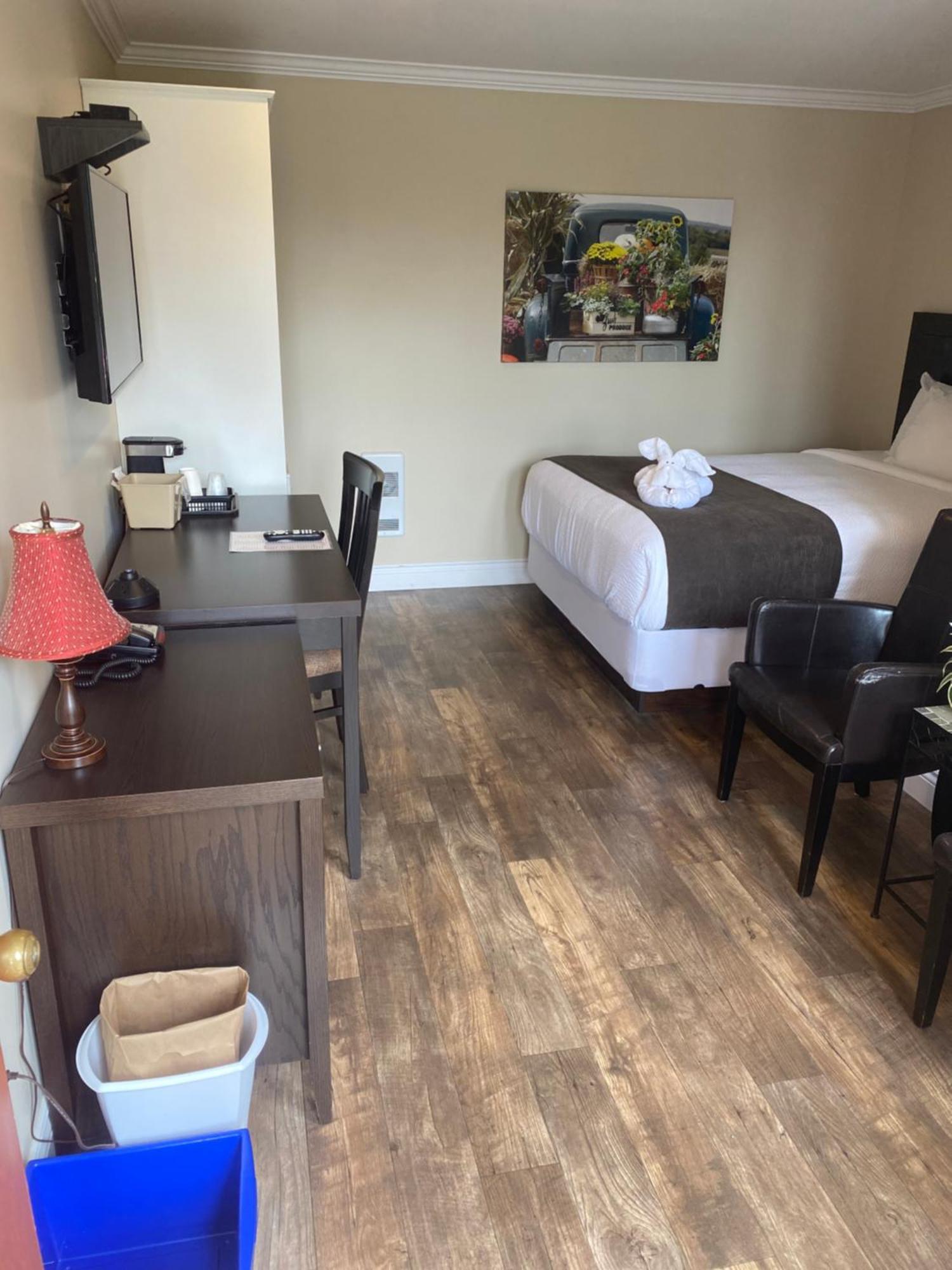 סאמרסייד Sunny Isle Motel מראה חיצוני תמונה